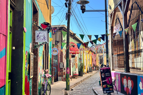 Valparaiso and Viña del Mar: Private Tour from Santiago