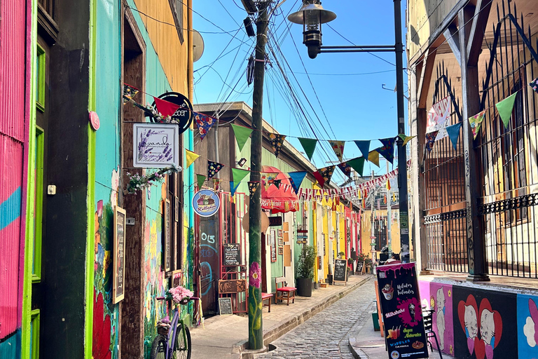 Valparaiso and Viña del Mar: Private Tour from Santiago