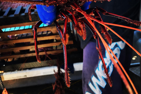 Rockingham: Lobster Catch and Keep Tour with Refreshments Lobster Spectator (No Catch & Keep)