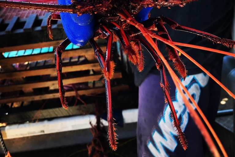 Rockingham: Lobster Catch and Keep Tour with Refreshments Lobster Spectator (No Catch & Keep)