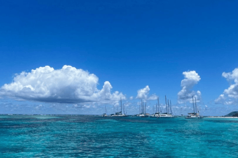 3 Islas AI Barco de Lujo con Almuerzo y Snorkel Tortuga Marina