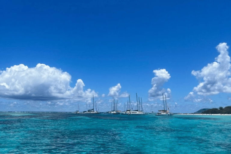 Bateau rapide privé des 3 îles avec déjeuner et plongée avec masque et tuba sur les tortues de mer