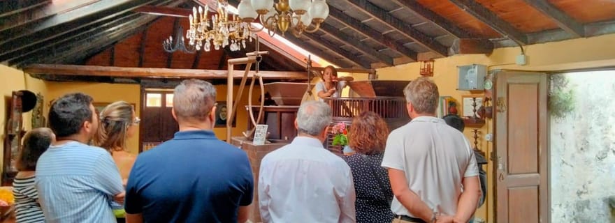 La Orotava : visite guidée avec dégustation de gofio, Los Molinos de la Villa