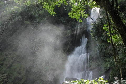 Carpishuyacu Waterfall Adventure