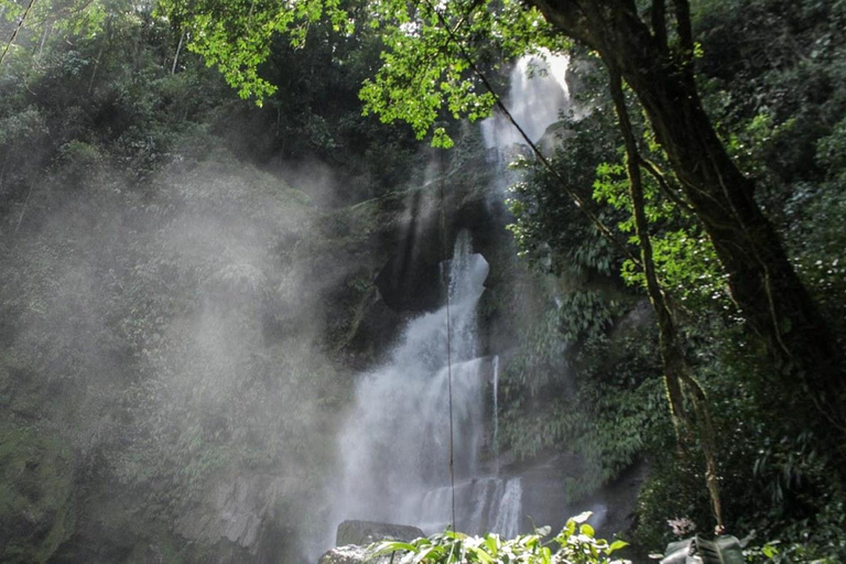 Avventura alle cascate di Carpishuyacu