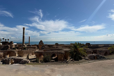 Tunis, Carthage & Bardo Museum: A Journey Through History From Mahdia