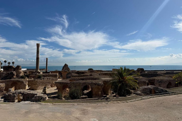 Tunis, Carthage & Bardo Museum: A Journey Through History From Mahdia