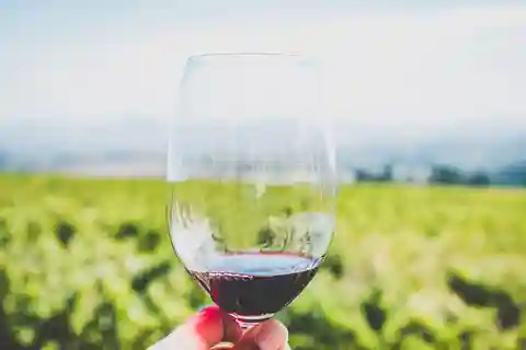 Sardegna: Degustazione di vini e tour del villaggio nuragico ad Alghero