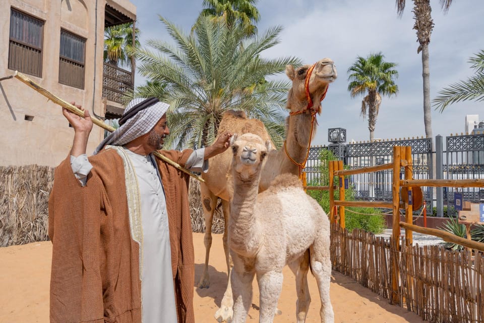 Dubai Emirati Cultural Experience With Emirati Meal Getyourguide