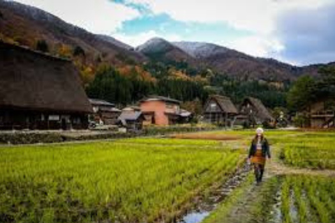 Nagoya: 3-Day Central Japan Spring Tour with Transfers Nagoya: 3-Day Central Japan Tour