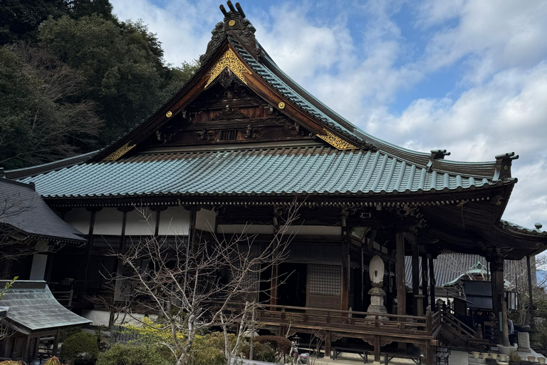 Sacred Miyajima: Journey to the Floating Torii