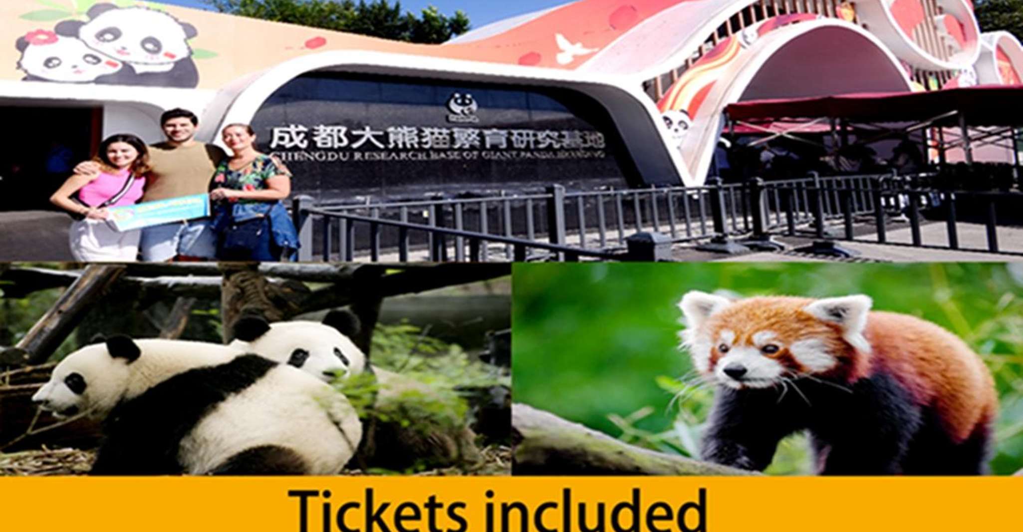 Excursão de meio dia à base de panda de Chengdu - Hizvo