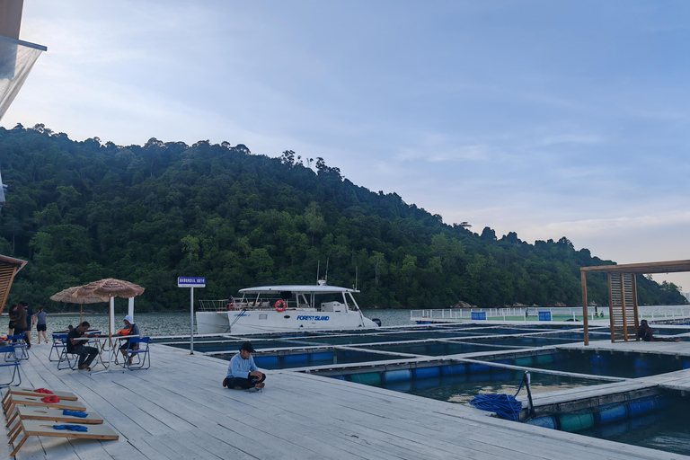 Penang: Forest Island Jet Car Tour with Dinner & Activities