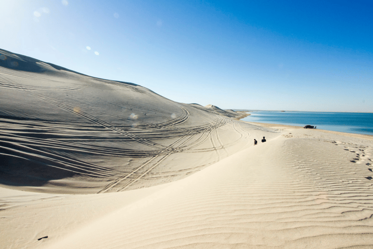 Safari nel deserto di un giorno intero con cena barbecue