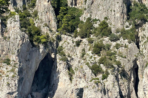 Från Sorrento: båttur till Capri med fri tid på ön