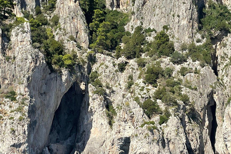 Från Sorrento: båttur till Capri med fri tid på ön