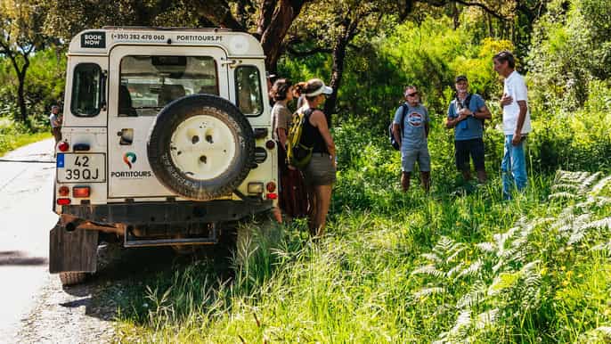 Algarve: Jeep Safari with Distillery Visit & Lunch