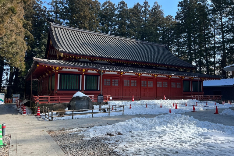 Von Tokio aus: Private Tagestour zu den Nikko-Weltkulturerbestätten