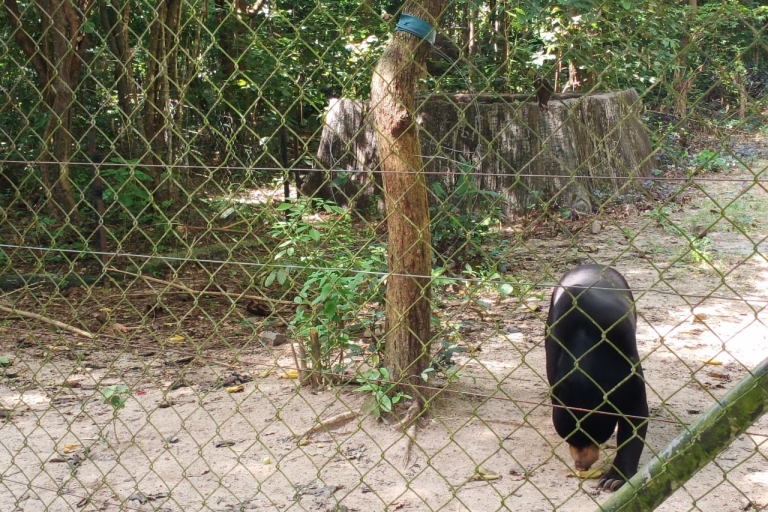 Privater 01-Tagesausflug nach Buddha Kiri und zum Zoologischen Park Tamao
