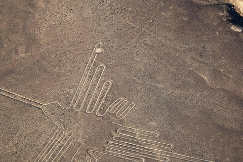 Nazca Lines Flight - Mystical Fly - Airplane Tour on Nasca