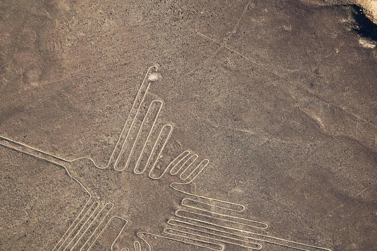 Nazca Lines Flight - Mystical Fly - Airplane Tour on Nasca