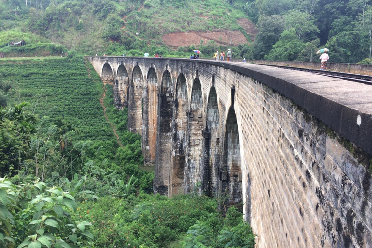 Ella: Private Sunrise Hike, Tea Estate, and Waterfall Tour
