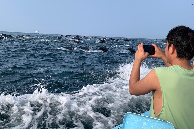 Puerto Escondido: Bootstour zu Delfinen und MeerestierenPrivate Tour
