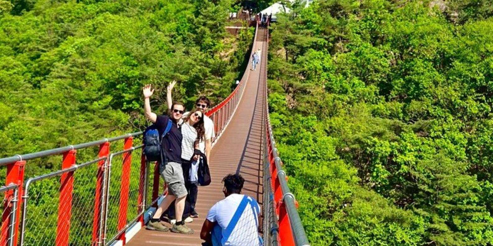 Seoul: DMZ Tour, 3rd Tunnel, Suspension Bridge & NK Defector
