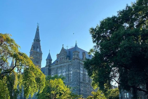 Washington D.C.: il miglior tour dello street food con una guida localeWashington D.C.: 3 ore di degustazione a piedi per piccoli gruppi