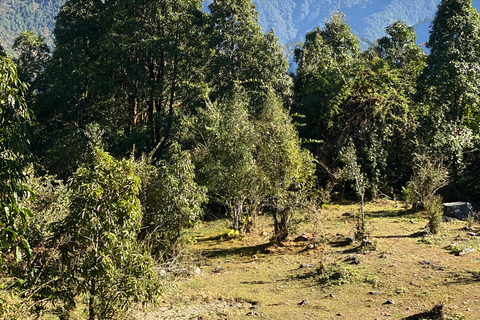 Katmandou : 3 jours de randonnée guidée à Ghorepani Poon HillAu départ de Katmandou : randonnée de 3 jours à Poon Hill au lever du soleil