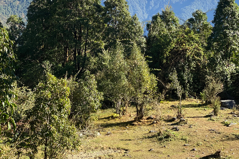 Katmandou : 3 jours de randonnée guidée à Ghorepani Poon HillAu départ de Katmandou : randonnée de 3 jours à Poon Hill au lever du soleil