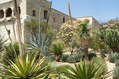 Tour a piedi di Oaxaca con uno storico: culture preispaniche e patrimonioGuida locale in inglese