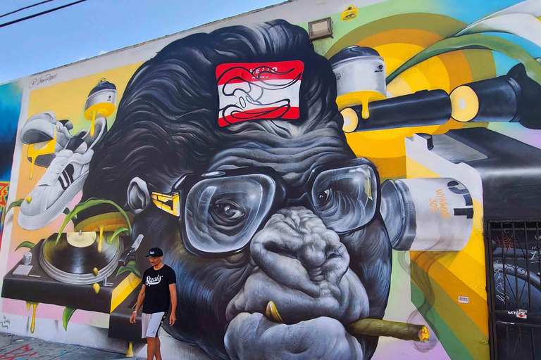 Wynwood wandeltour in het Frans (2u)