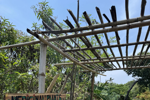 El Nido, Sibaltan: Local Organic Farm Tour & Product Tasting Farm Tour: 2 to 5