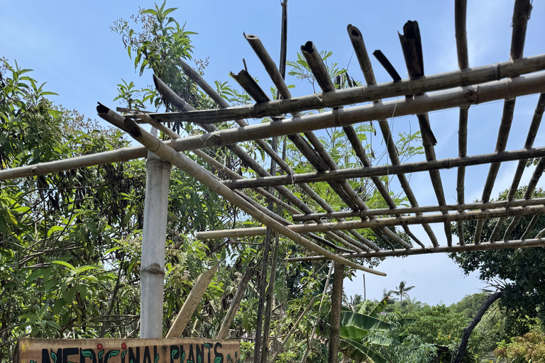 El Nido, Sibaltan: Local Organic Farm Tour & Product Tasting Farm Tour: 2 to 5