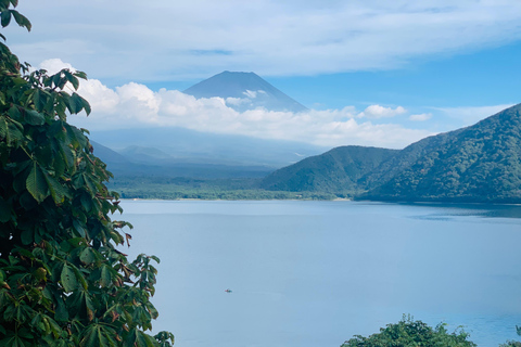 Prywatna wycieczka z przewodnikiem po górze Fuji i Hakone