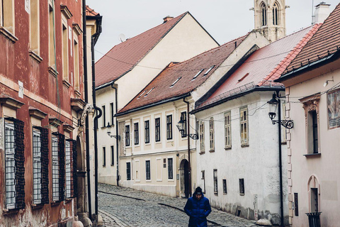 Bratislava: Private Half-Day Tour with Local Guide Bratislava: A Private Half-Day Tour with local guide