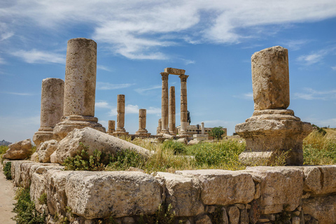 Del Mar Muerto :Excursión de un día a Jerash y AmmánTransporte y entradas