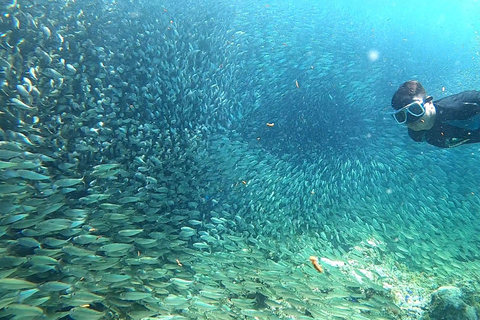 Cebu Adventure: ATV, Mantayupan Falls & Moalboal Snorkeling Cebu Adventure Delight: Falls, ATV, Sardines, Turtles, Beach