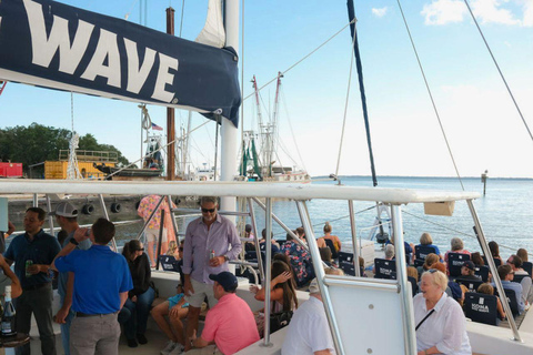 Charleston: Saturday Afternoon Harbor Sail on a Catamaran