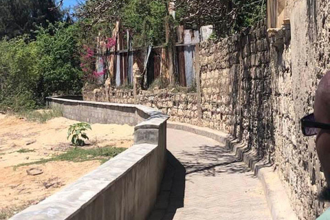 Mombasa/Diani: Day tour to Malindi town and Gede Ruins Malindi: City tour and Gede Ruins