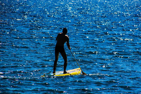 San Diego: Aluguel de PaddleboardAluguel de 2 horas