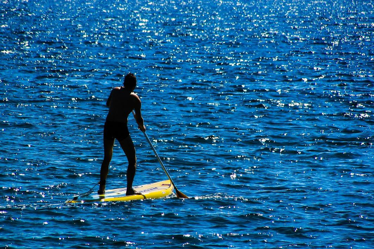 San Diego: Noleggio di tavole da paddleNoleggio di 1 ora