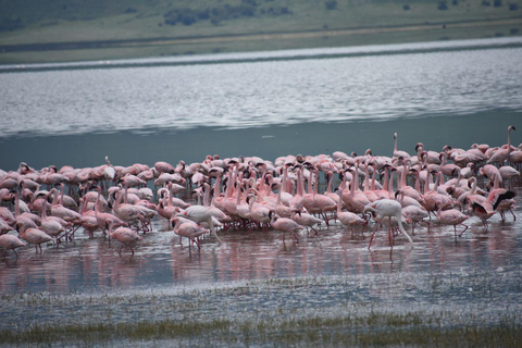 6 giorni Il meglio della Tanzania e della cultura a medio raggio