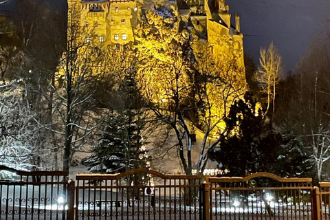Brașov: Bear Sanctuary and Bran Castle - Private Day Trip