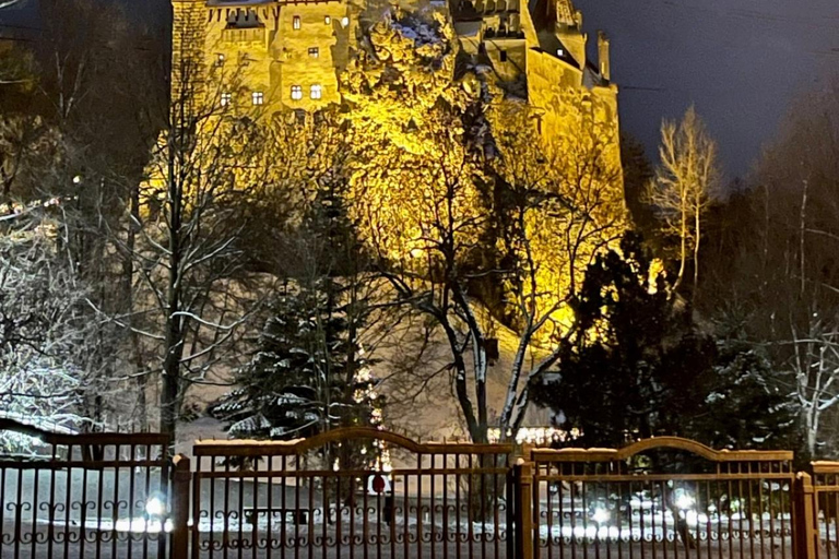 Brașov: Bear Sanctuary and Bran Castle - Private Day Trip