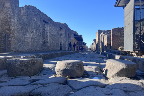 From Naples: Pompeii and Matera Day Trip with Transfer From Matera to Naples: Transfer & Pompeii Ticket