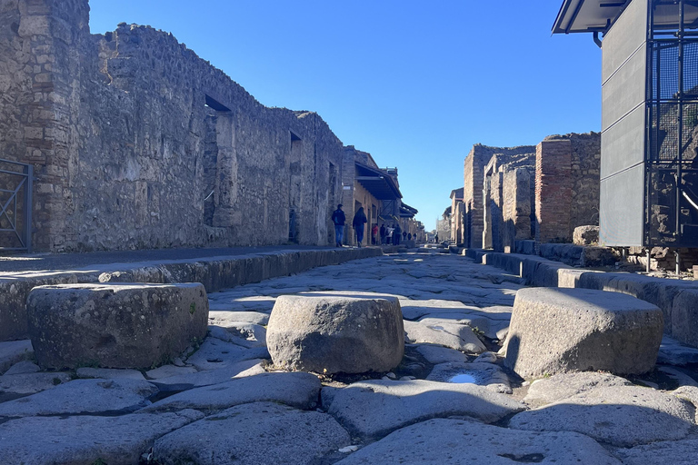 From Naples: Pompeii and Matera Day Trip with Transfer From Matera to Naples: Transfer & Pompeii Ticket