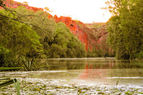 Darwin naar Cairns: 11 Daagse Rondreis Kakadu &amp; Golf Savannah