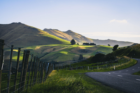 Christchurch: Akaroa i Półwysep Banks - 1-dniowa wycieczka